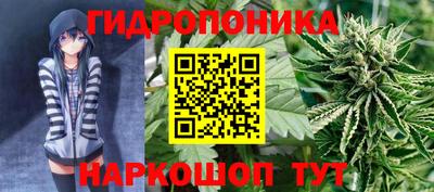 не бодяженный Можга