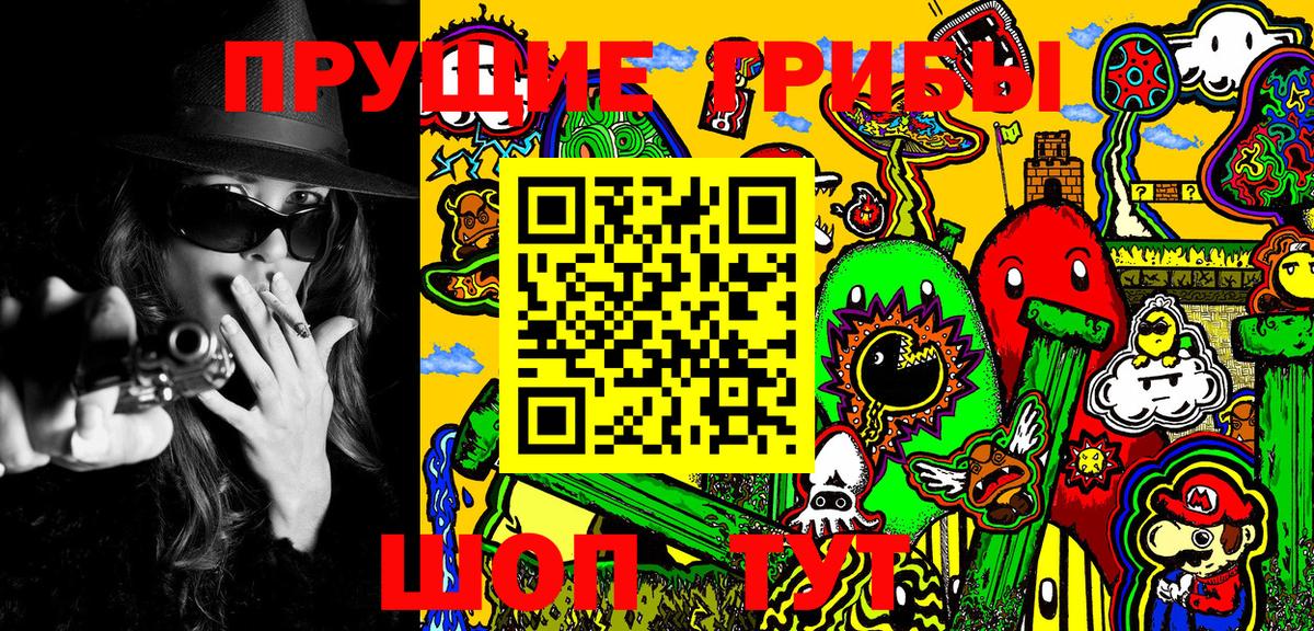 Псилоцибиновые грибы GOLDEN TEACHER  Вход с VPN  Псилоцибиновые грибы Cubensis  магазин продажи наркотиков  Свободный 